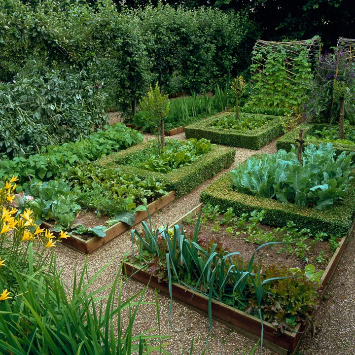 Kitchen Garden Image