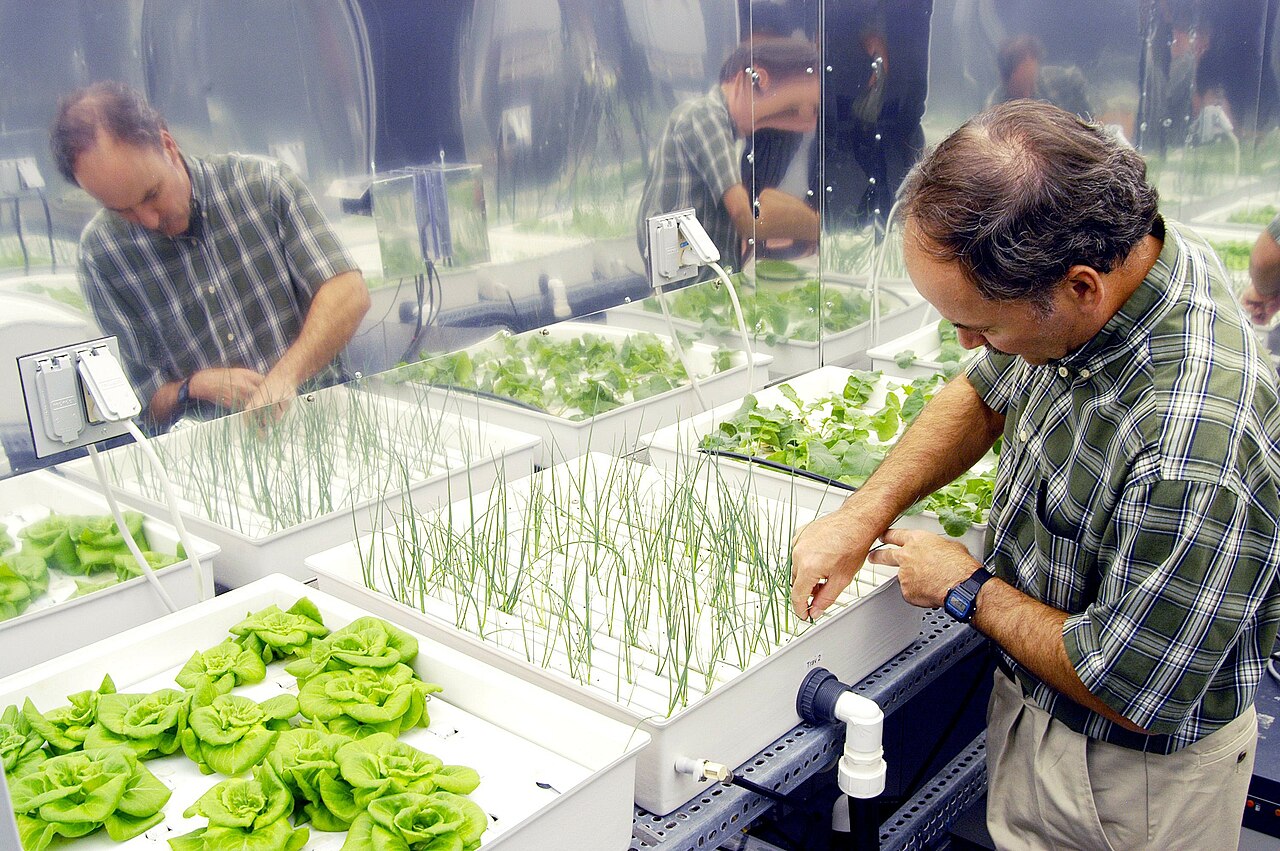 Hydroponics Agriculture