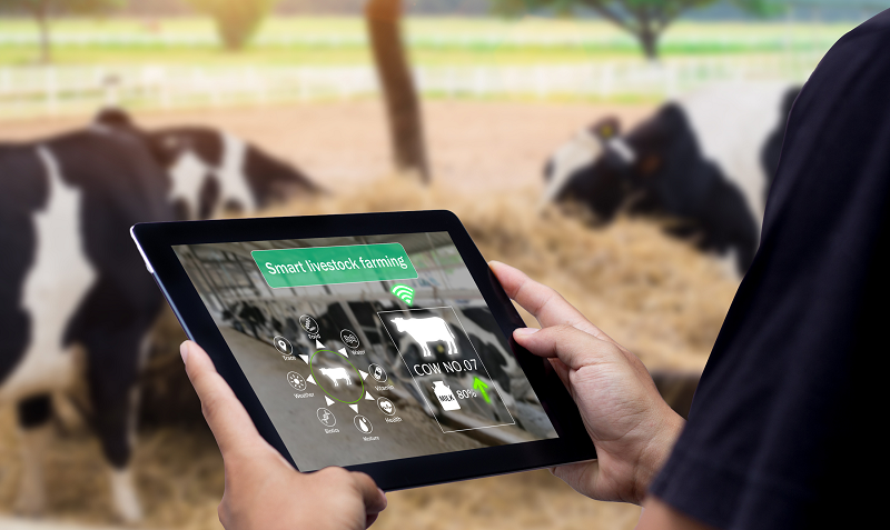 Smart Livestock Farming Image